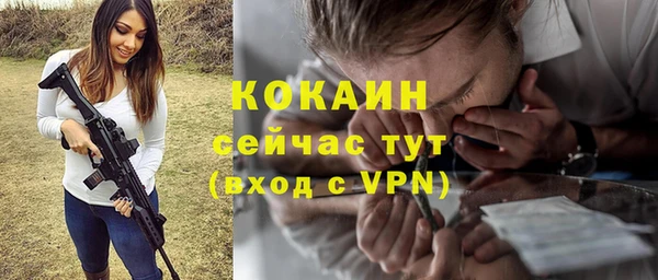 мет Ладушкин