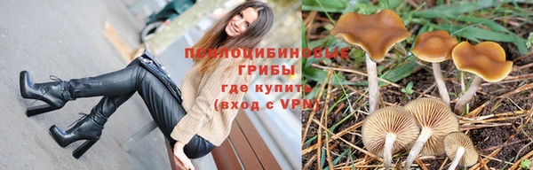 a pvp Лабытнанги